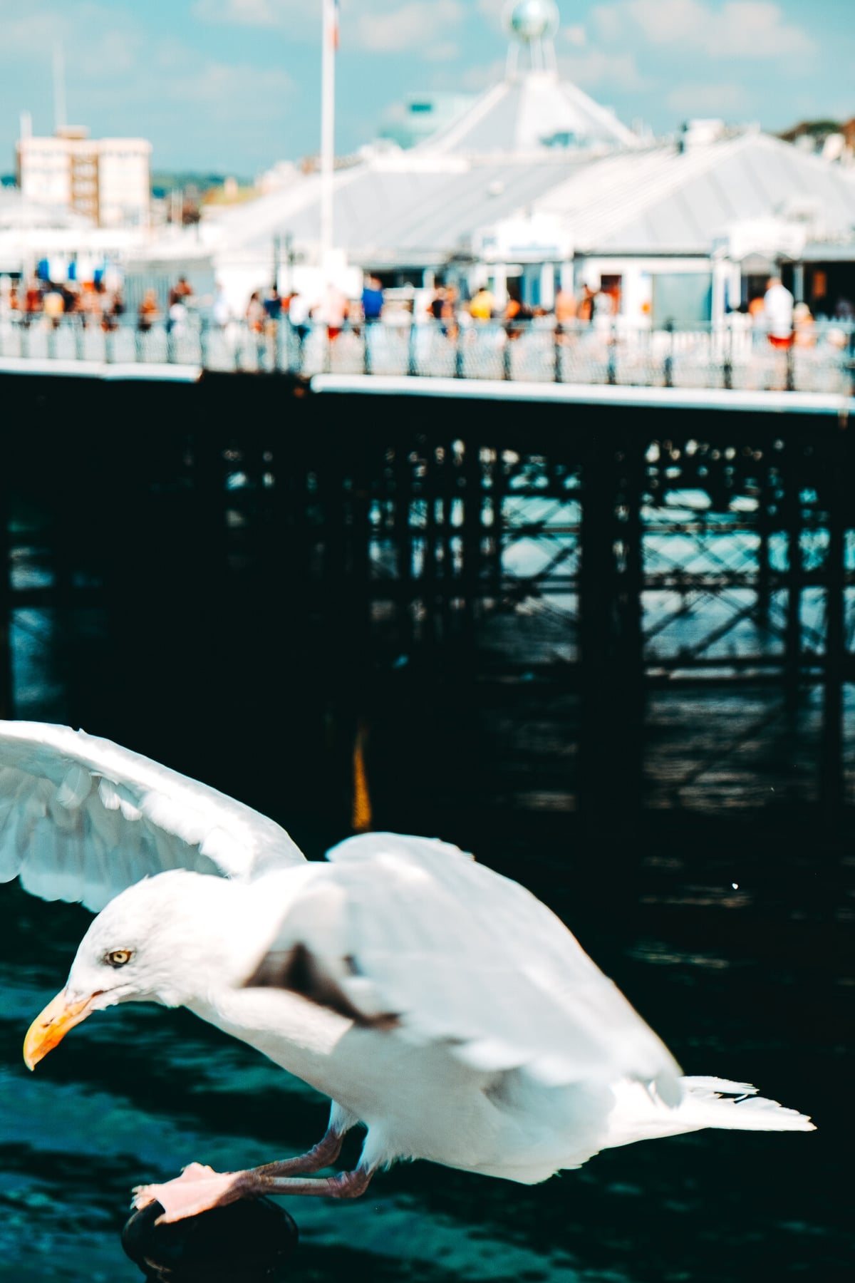 Brighton