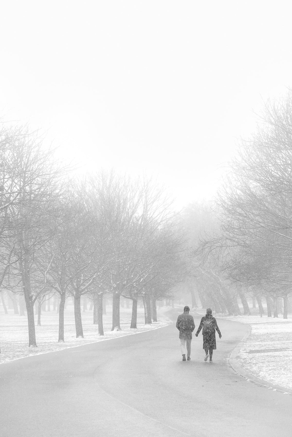 Beast From The East