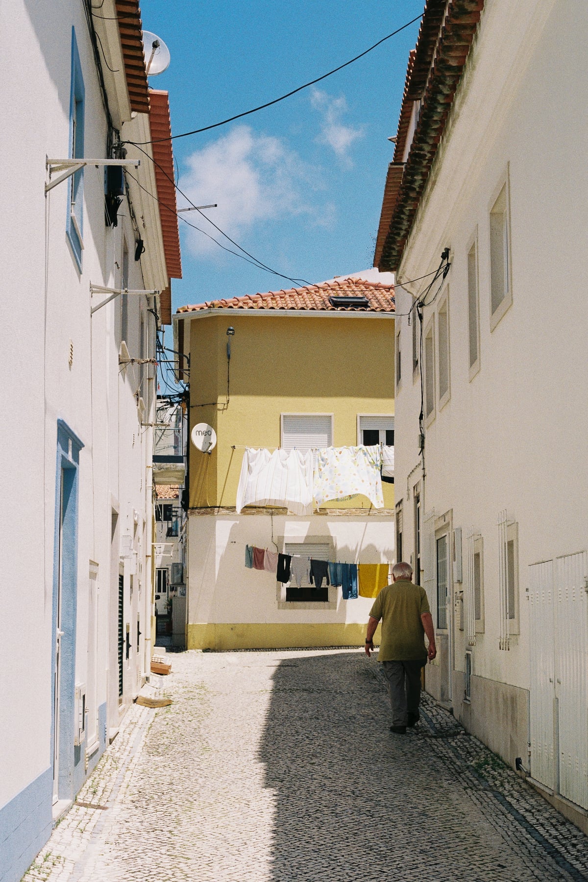Picture 8