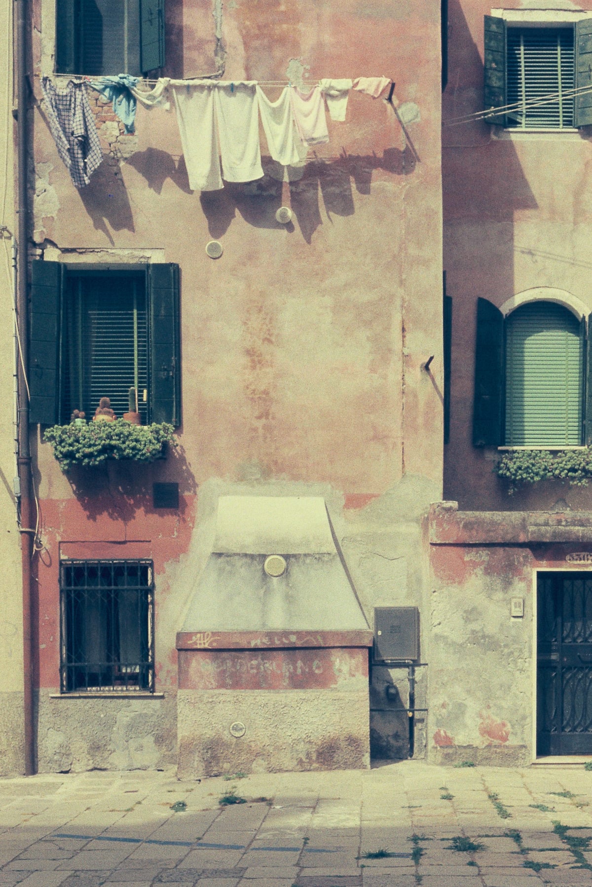 Picture 8